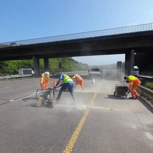 Professional Project Management and Field Services